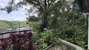 Howler Monkey Apartment – Casa Encantada img 1340
