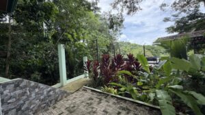 Howler Monkey Apartment – Casa Encantada img 1344