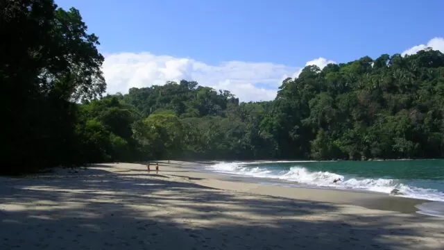 manuel antonio 
