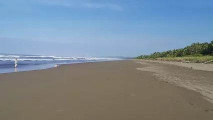 playarey