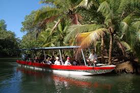 Mangrove Boat Tour